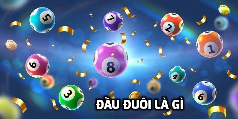 Đầu Đuôi Là Gì? Giải Đáp Hết Tất Cả Những Thắc Mắc
