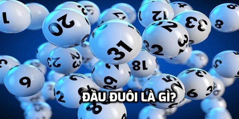 Đầu đuôi là gì? 