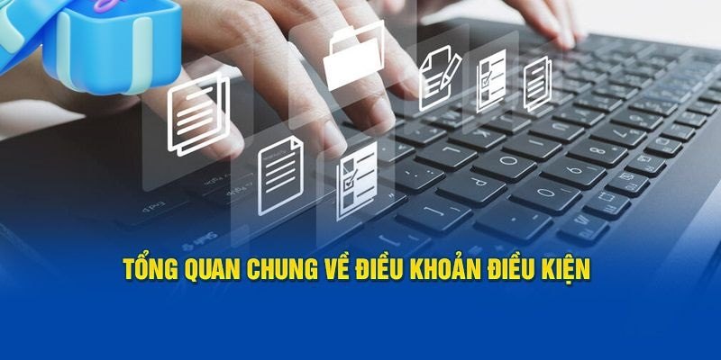 Sơ lược thông tin về điều khoản và điều kiện tại nhà cái