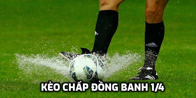 Kèo Chấp Đồng Banh 1/4 - Tìm Hiểu Để Giành Chiến Thắng