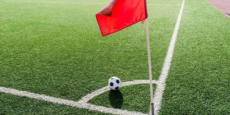 Bet thủ có thể dễ dàng nghiên cứu