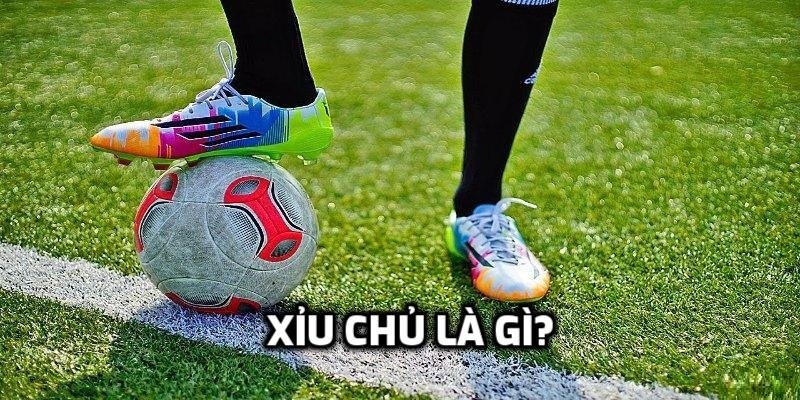Giải thích định nghĩa xỉu chủ là gì?