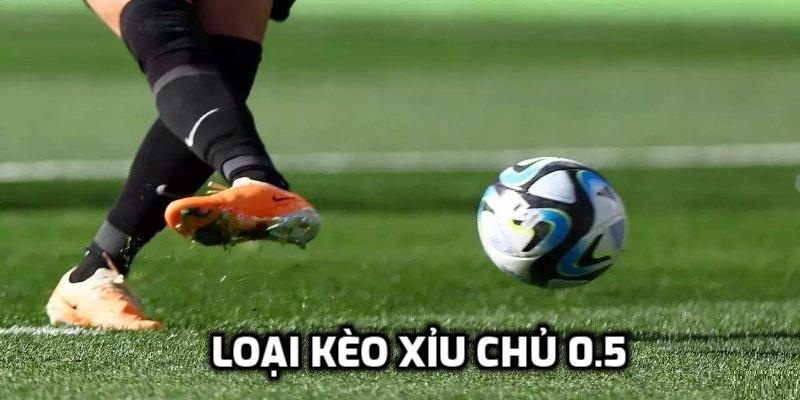 Loại kèo xỉu chủ 0.5