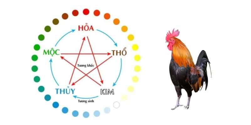 Chọn kinh nghiệm quý báu để nâng cao tỷ lệ thắng