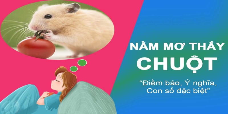 Khi mơ thấy chuột đánh con gì hiệu quả