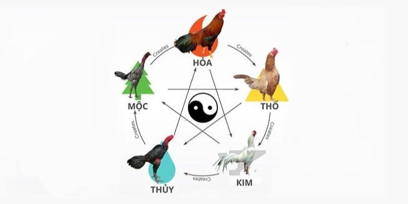 Mỗi màu có những quy tắc đối chiếu khác nhau