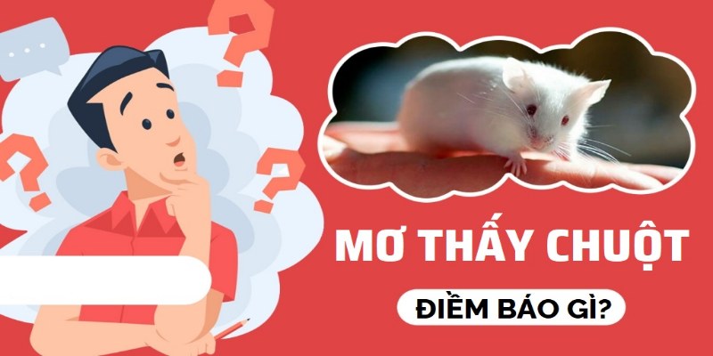 Phân tích tâm linh tăng tỷ lệ thắng lô đề