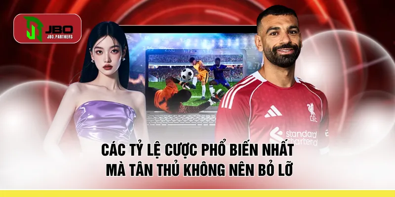 Các tỷ lệ cược phổ biến nhất mà tân thủ không nên bỏ lỡ