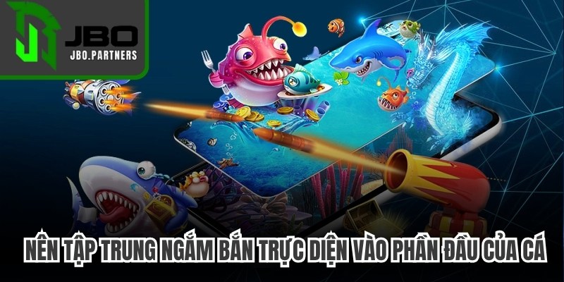 Anh em nên tập trung ngắm bắn trực diện vào phần đầu của cá