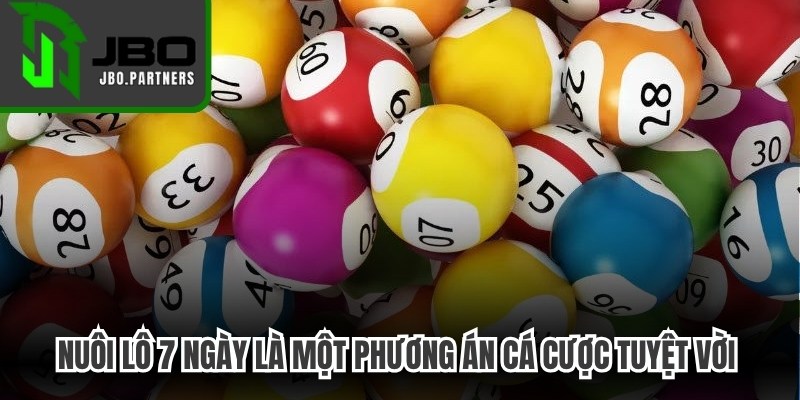 Nuôi lô 7 ngày là một phương án cá cược tuyệt vời nên thử ngay