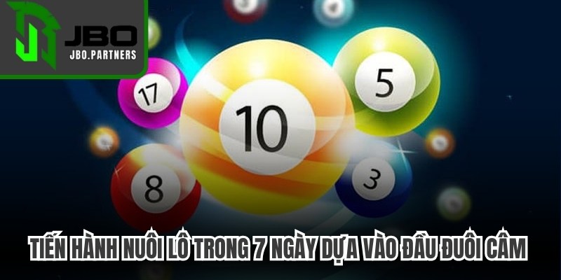 Tiến hành nuôi lô trong 7 ngày dựa vào đầu đuôi câm cực chuẩn