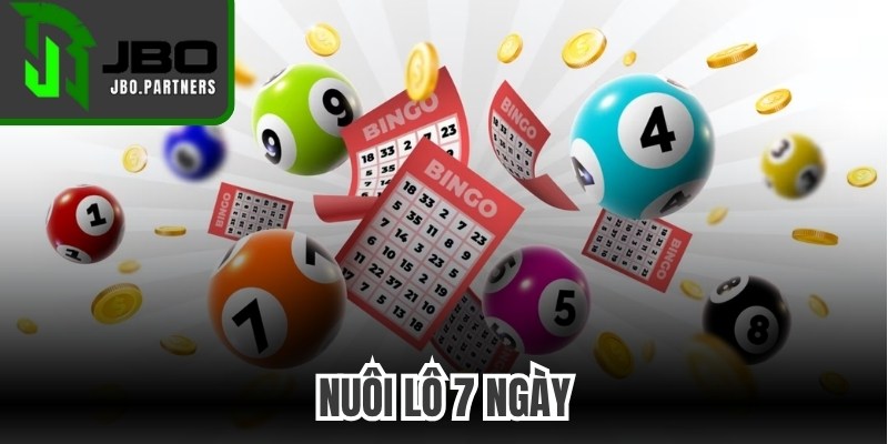 Nuôi Lô 7 Ngày