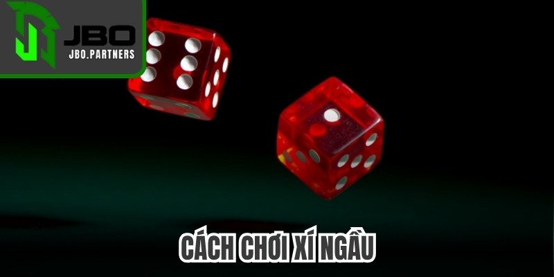 Cách Chơi Xí Ngầu