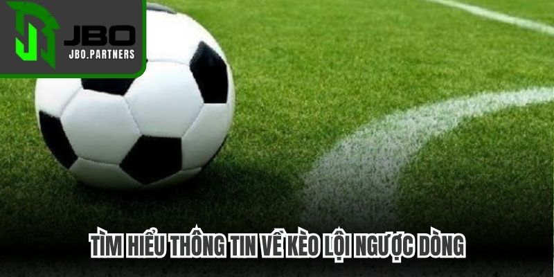 Tìm hiểu thông tin về kèo lội ngược dòng